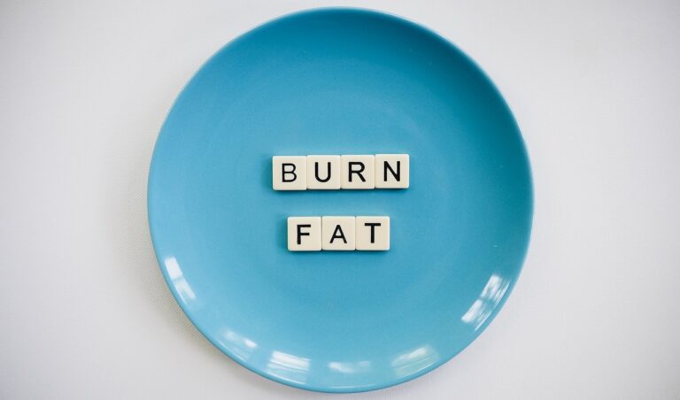 burn fat, weight loss, obesity-4235818.jpg